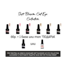 Промоционален комплект ALEXANDRA'S PROLINE Soft Blossom Cat Eye Collection 6+1 /14 мл./ 
